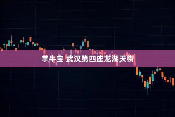 掌牛宝 武汉第四座龙湖天街